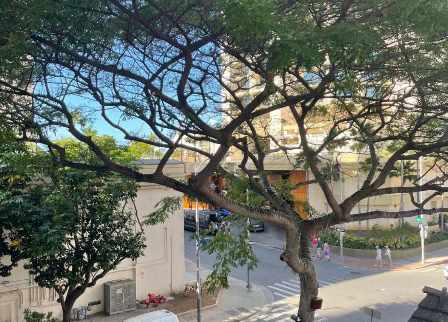 Stylish Studio Near Kuhio Beach 호놀룰루 미국